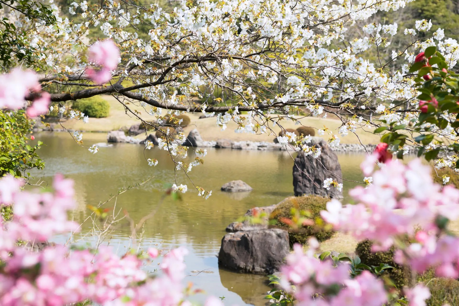 🏞️ 만박기념공원 일본 정원 (니혼테이엔) 이미지 4